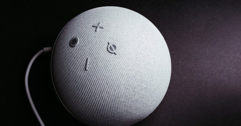 May 2026: The Smart Speaker Squeeze - Why Voice Ordering is Silently Siphoning Your Profits (and How to Fight Back)